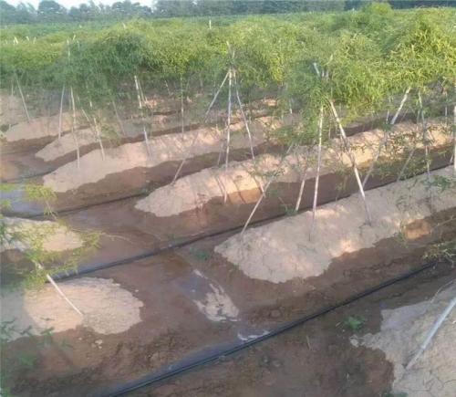 pipe irrigation system